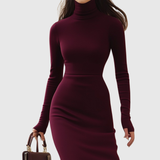 Isabelle | Burgundy Turtleneck Dress